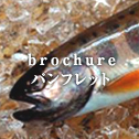 brochure パンフレット